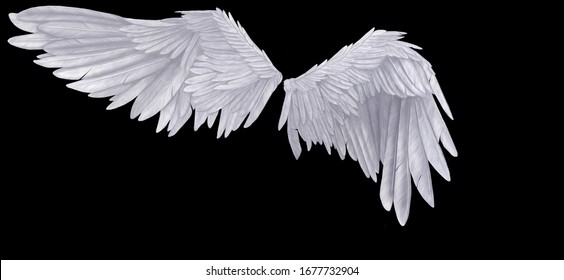Detail Wing Angel Nomer 19