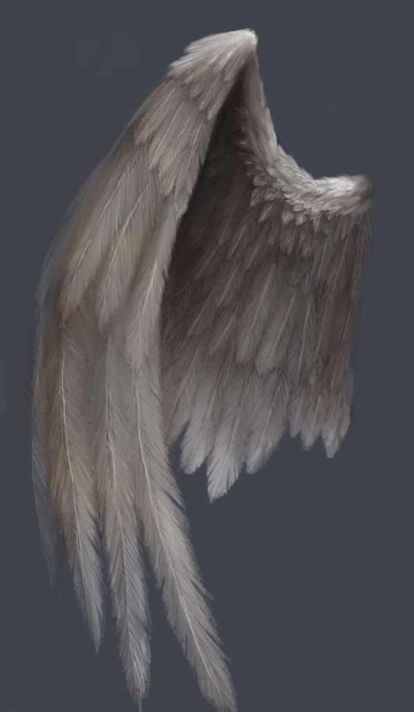 Detail Wing Angel Nomer 33