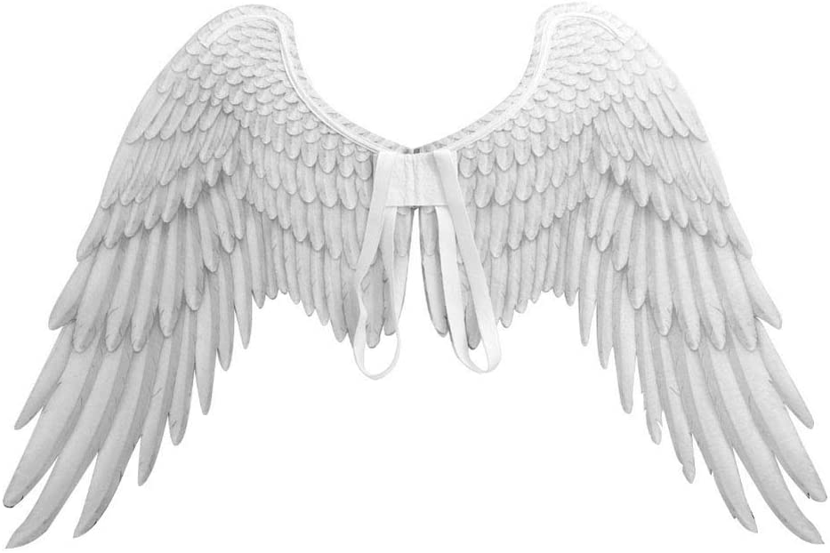 Detail Wing Angel Nomer 5