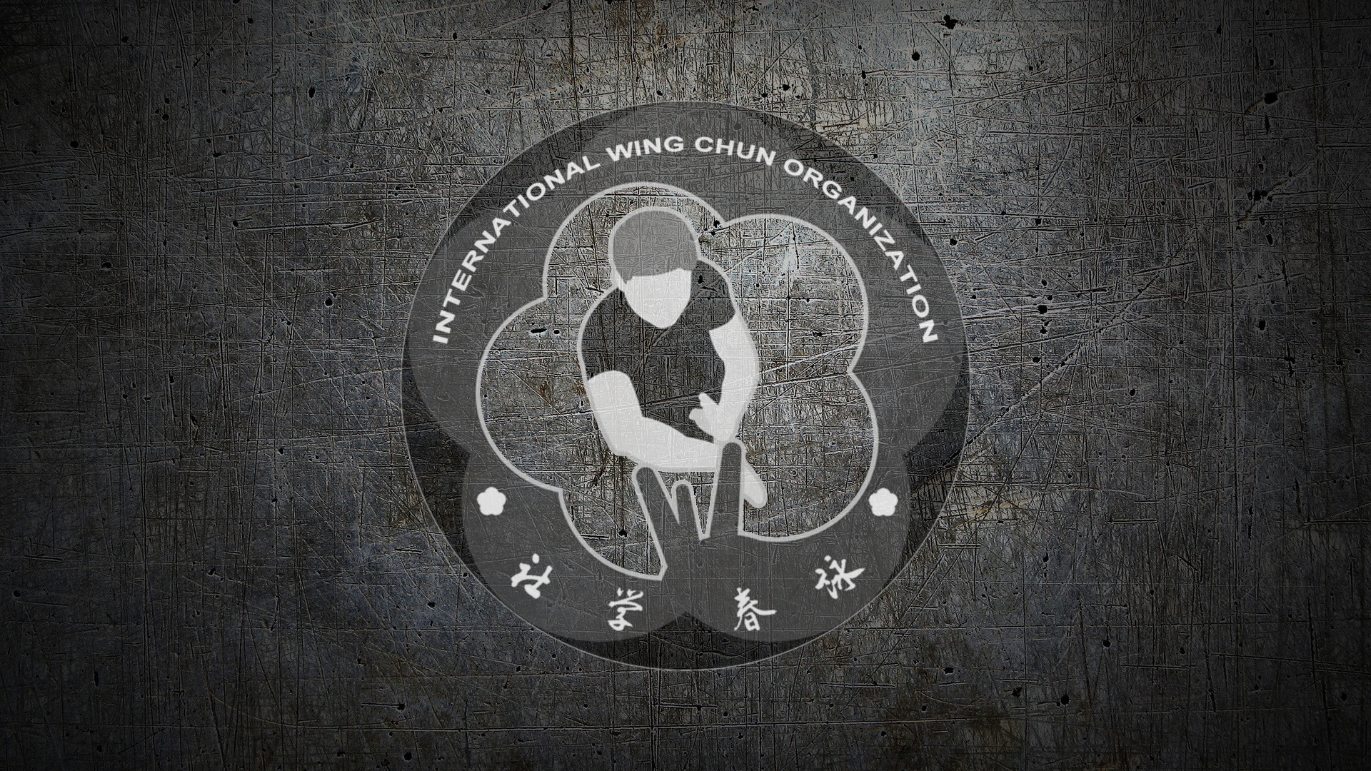 Detail Wing Chun Wallpaper Nomer 7