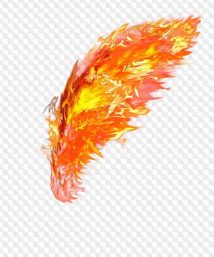 Detail Wing Fire Png Nomer 18