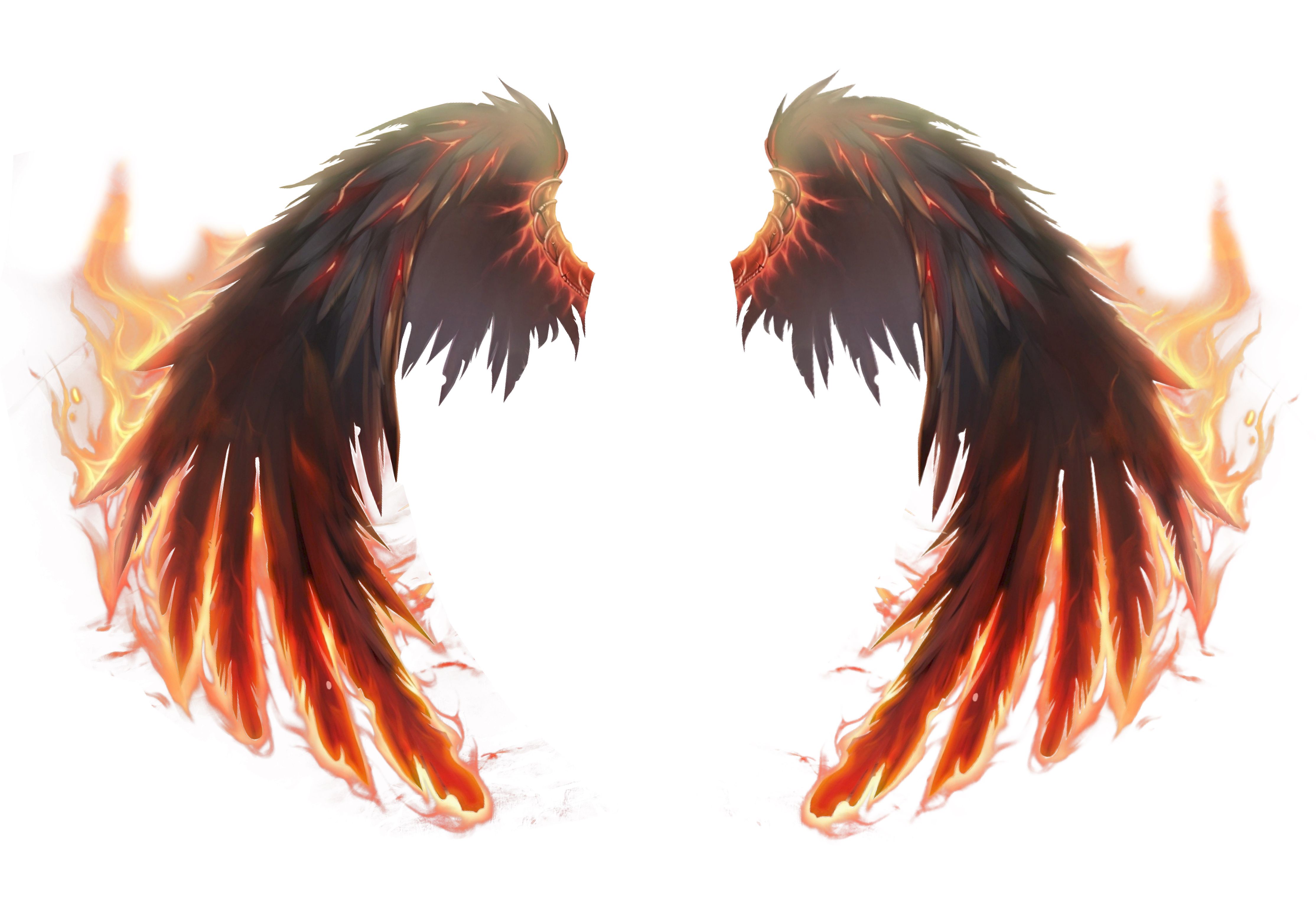 Detail Wing Fire Png Nomer 21