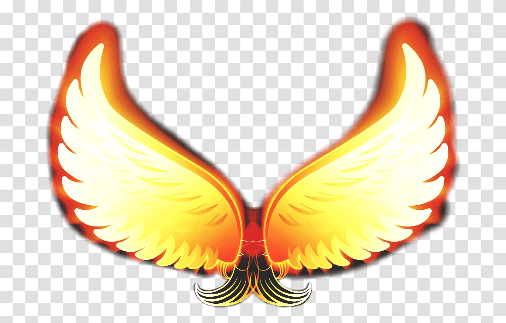 Detail Wing Fire Png Nomer 48