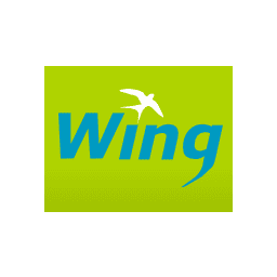 Detail Wing Logo Nomer 15