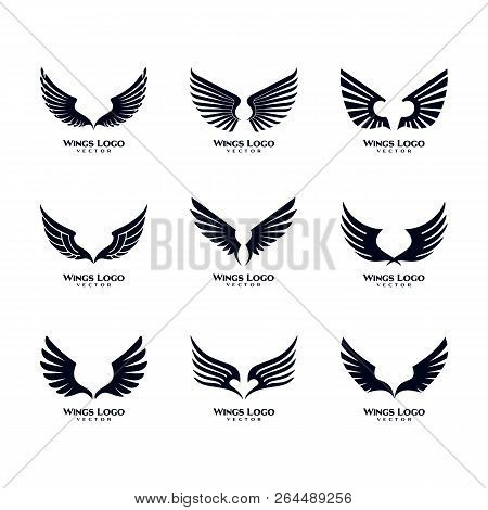 Detail Wing Logo Design Nomer 20