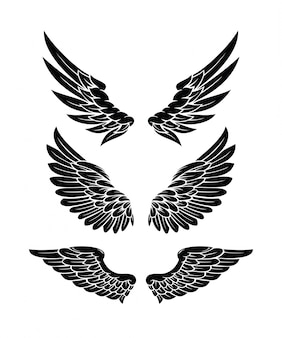 Detail Wing Png Vector Nomer 20