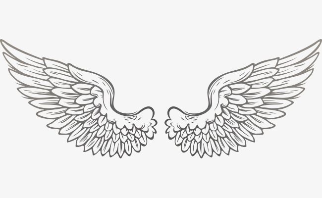 Detail Wing Png Vector Nomer 8