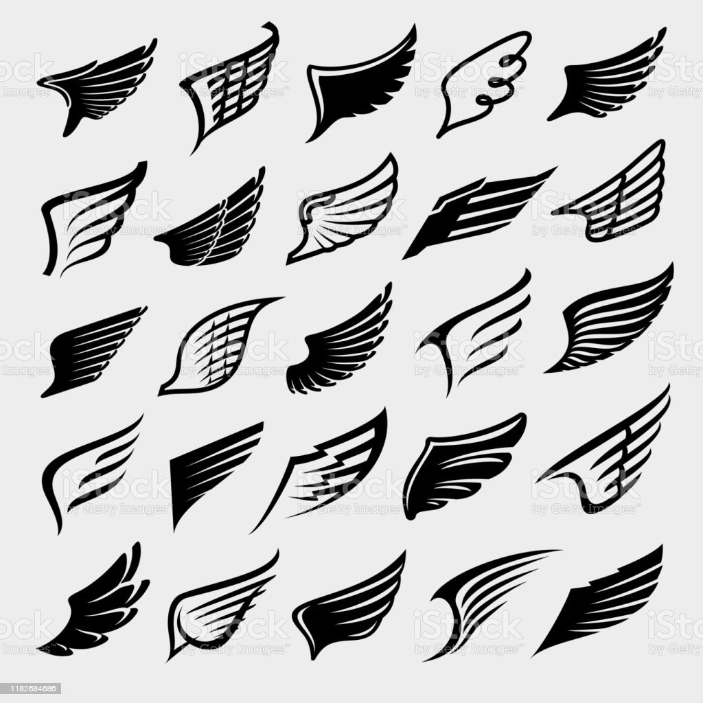 Detail Wing Vector Free Download Nomer 11