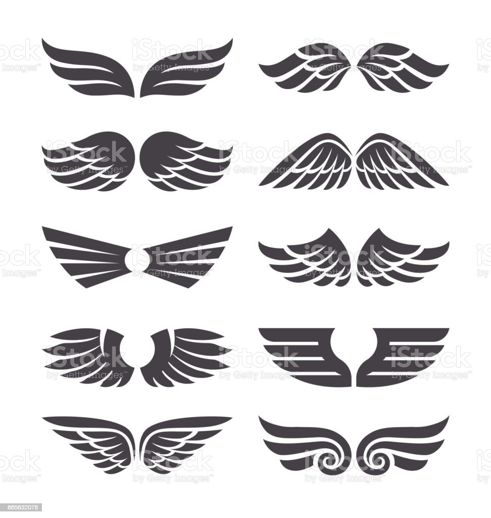 Detail Wing Vector Free Download Nomer 42