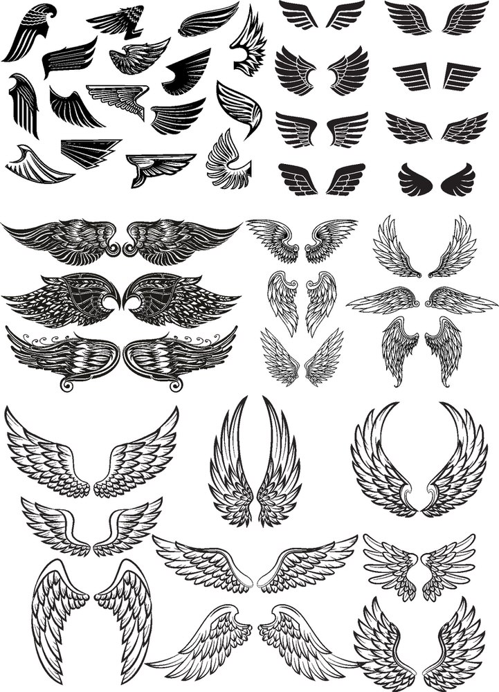 Detail Wing Vector Free Download Nomer 50