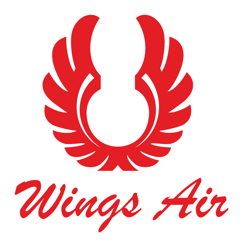 Detail Wings Air Png Nomer 3