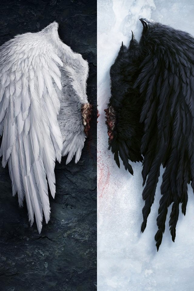 Detail Wings Background Nomer 17