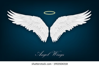 Detail Wings Background Nomer 19
