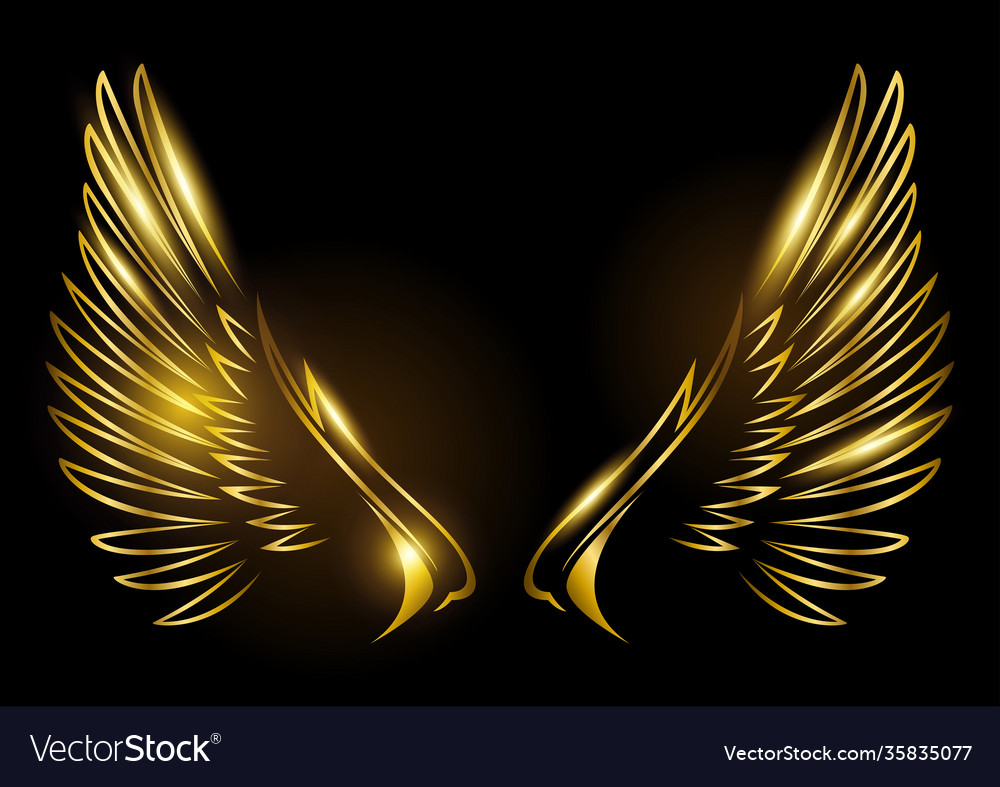 Detail Wings Background Nomer 3