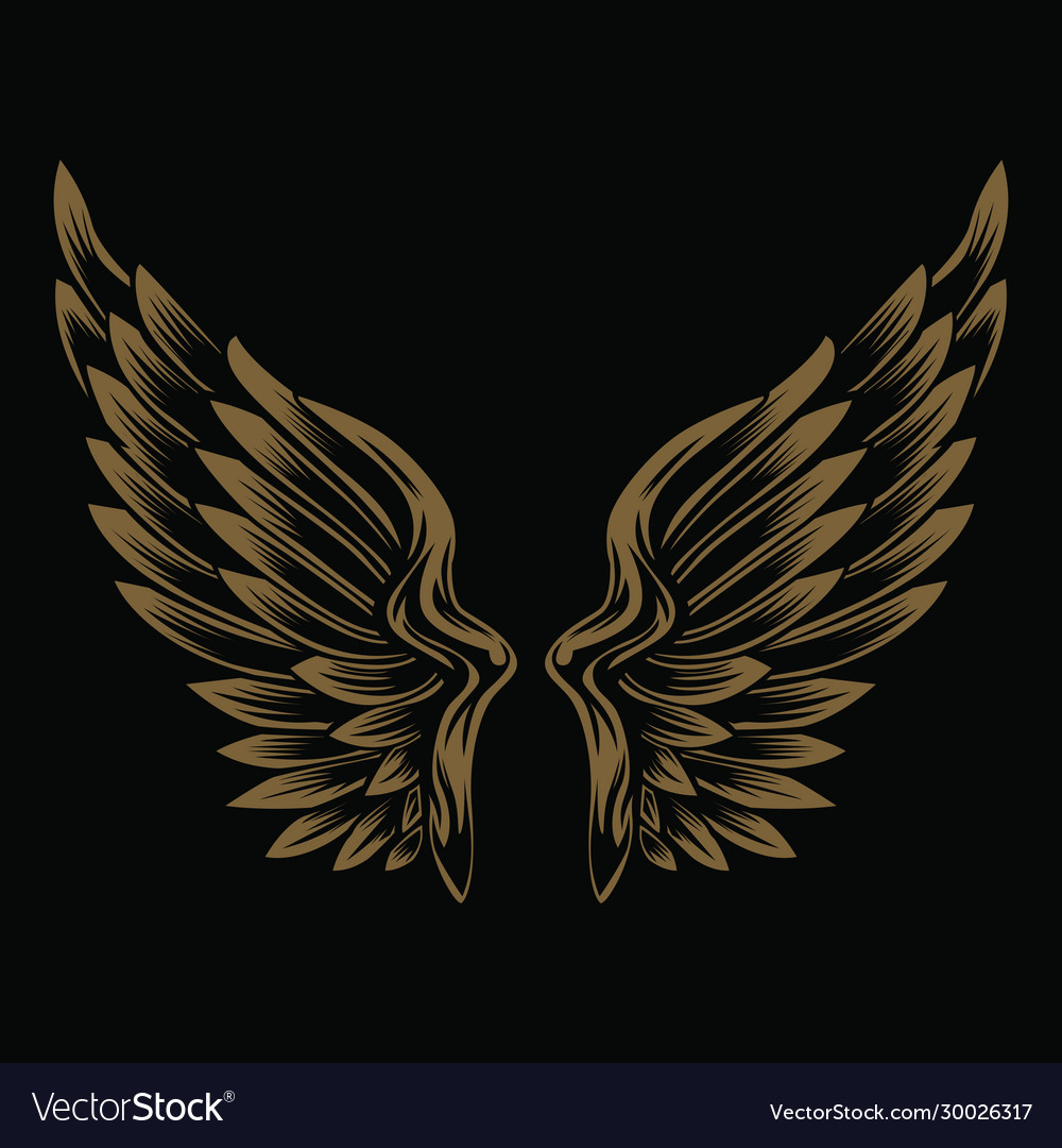 Detail Wings Background Nomer 23