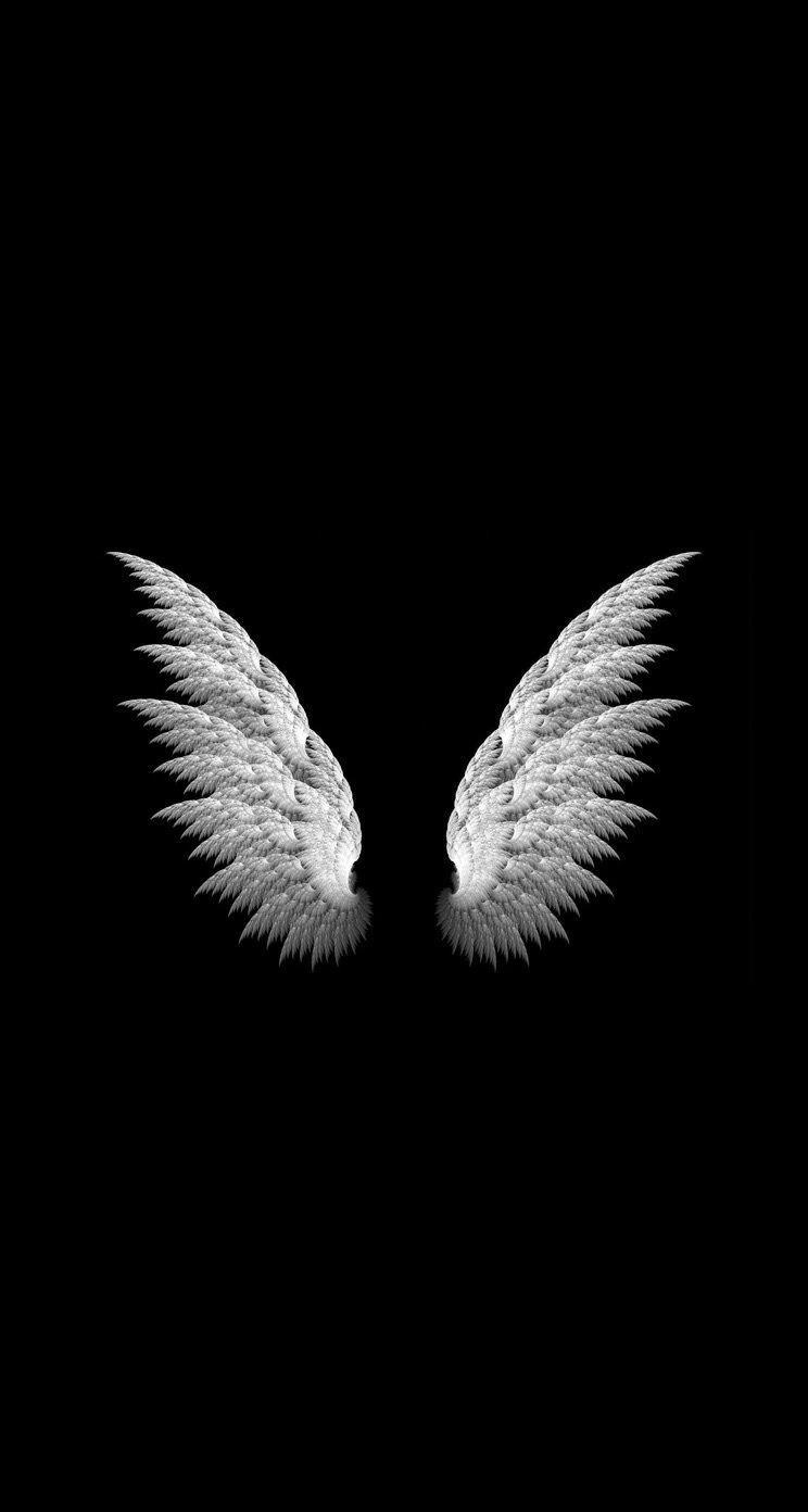 Detail Wings Background Nomer 27