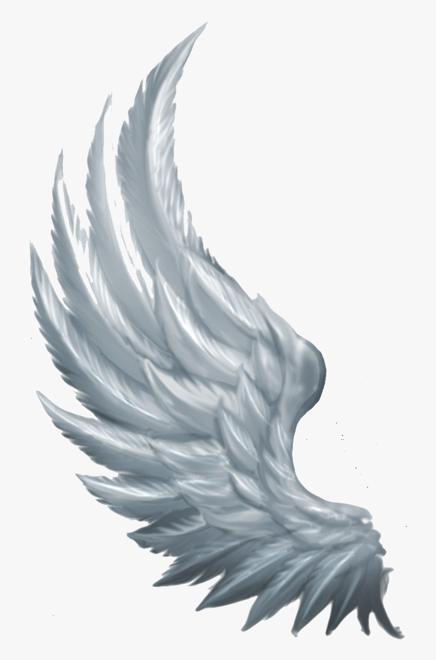 Detail Wings Background Nomer 28