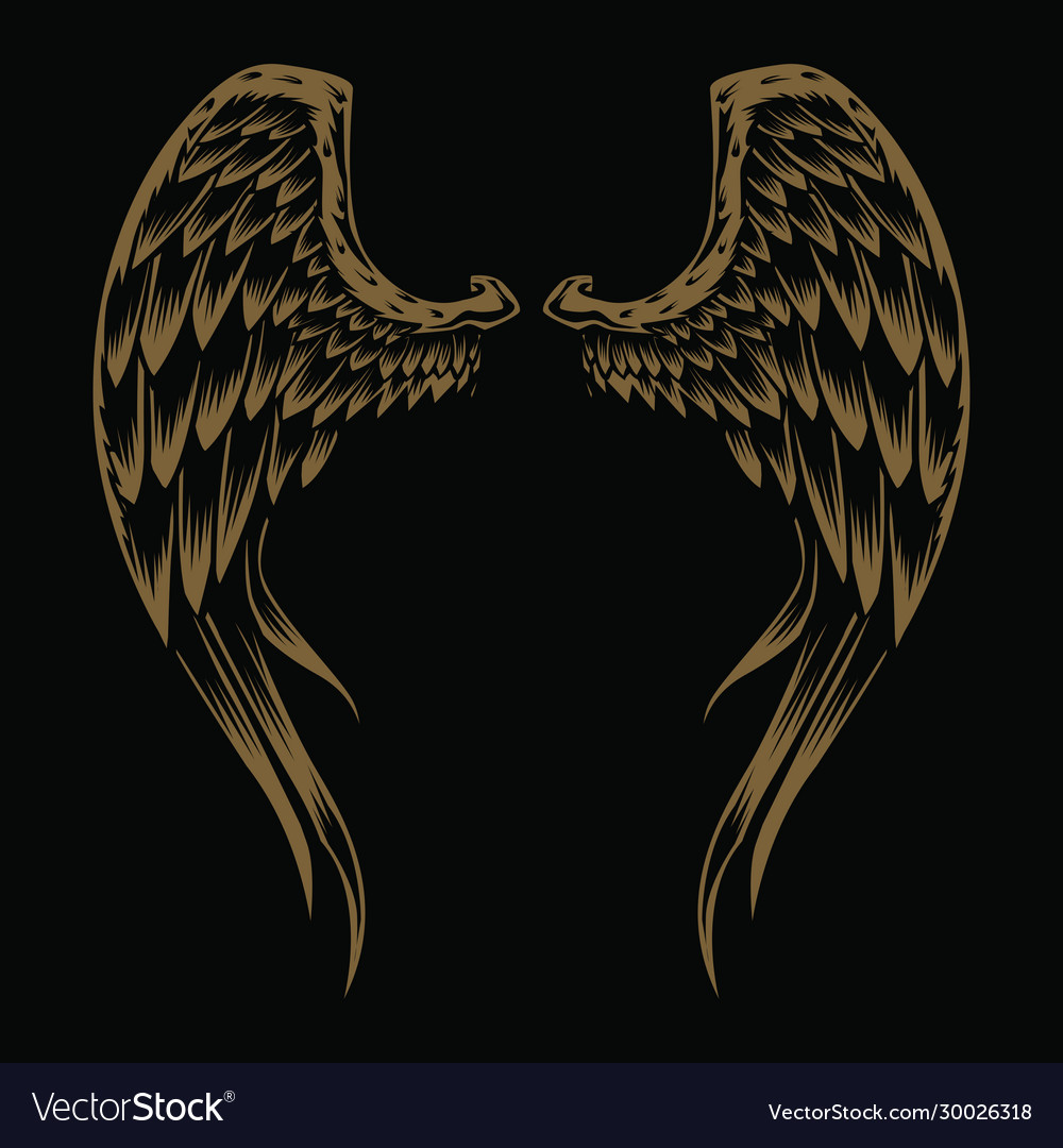 Detail Wings Background Nomer 34
