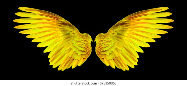 Detail Wings Background Nomer 36