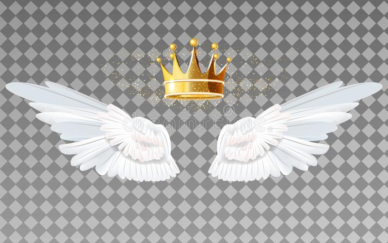 Detail Wings Background Nomer 37