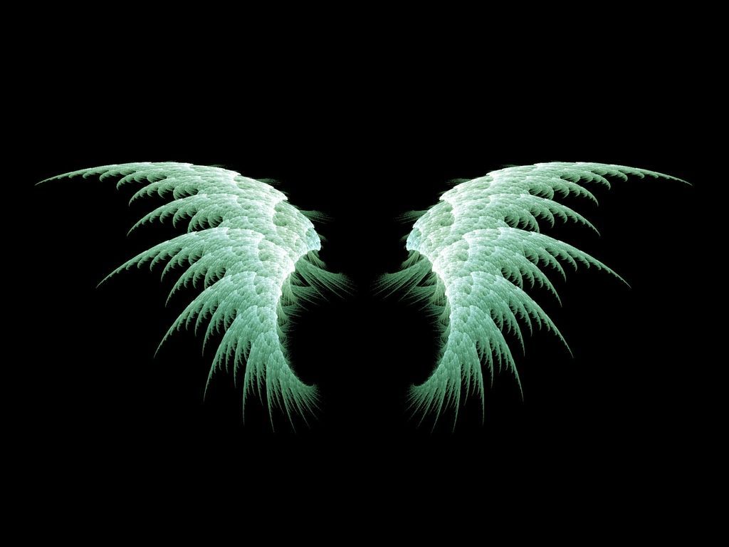 Detail Wings Background Nomer 45