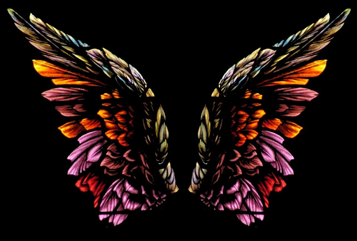 Detail Wings Background Nomer 47