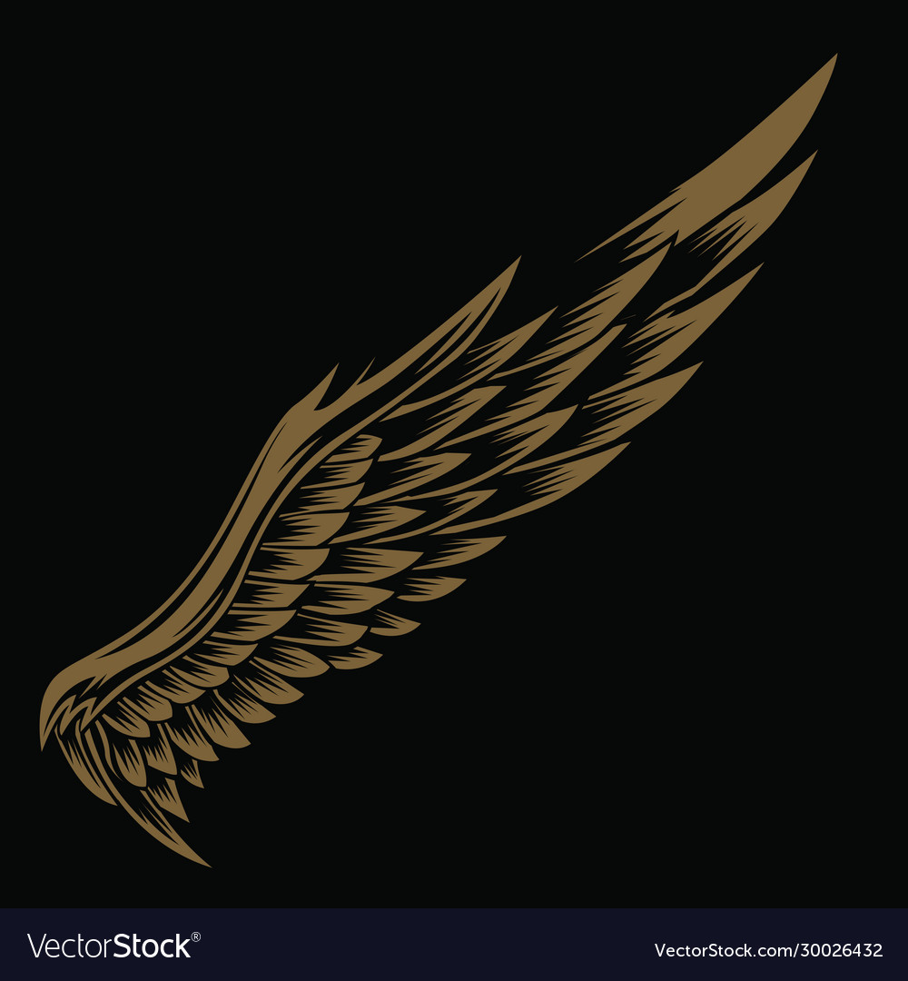 Detail Wings Background Nomer 48