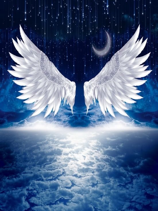 Detail Wings Background Nomer 6