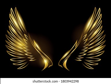 Detail Wings Background Nomer 49