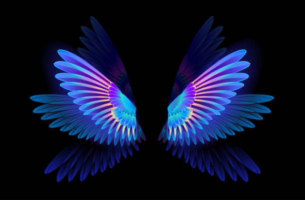 Detail Wings Background Nomer 51