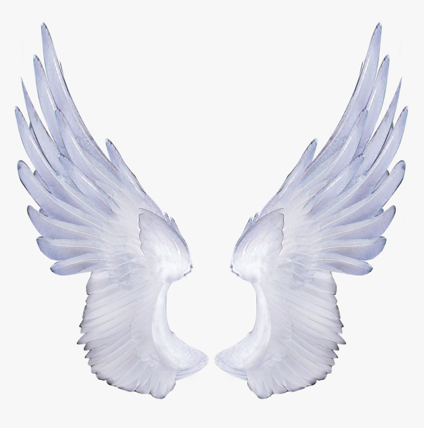Detail Wings Background Nomer 54