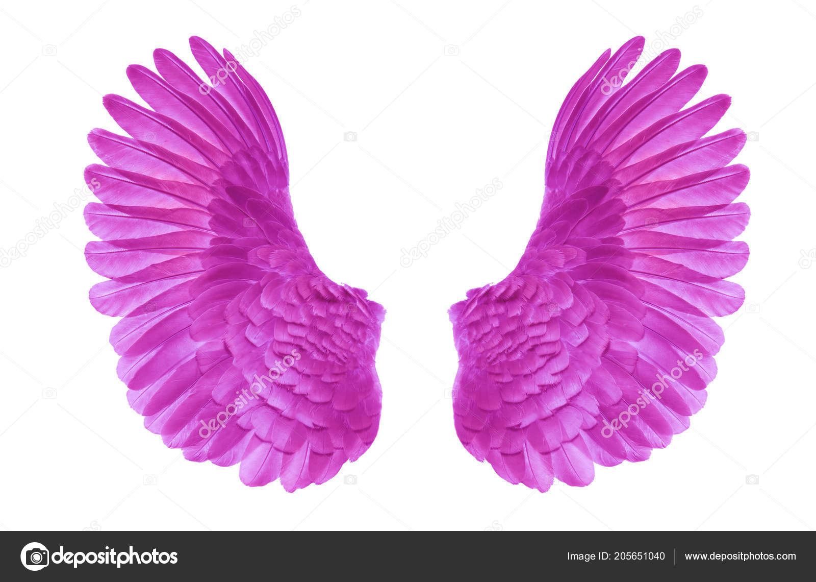 Detail Wings Background Nomer 55