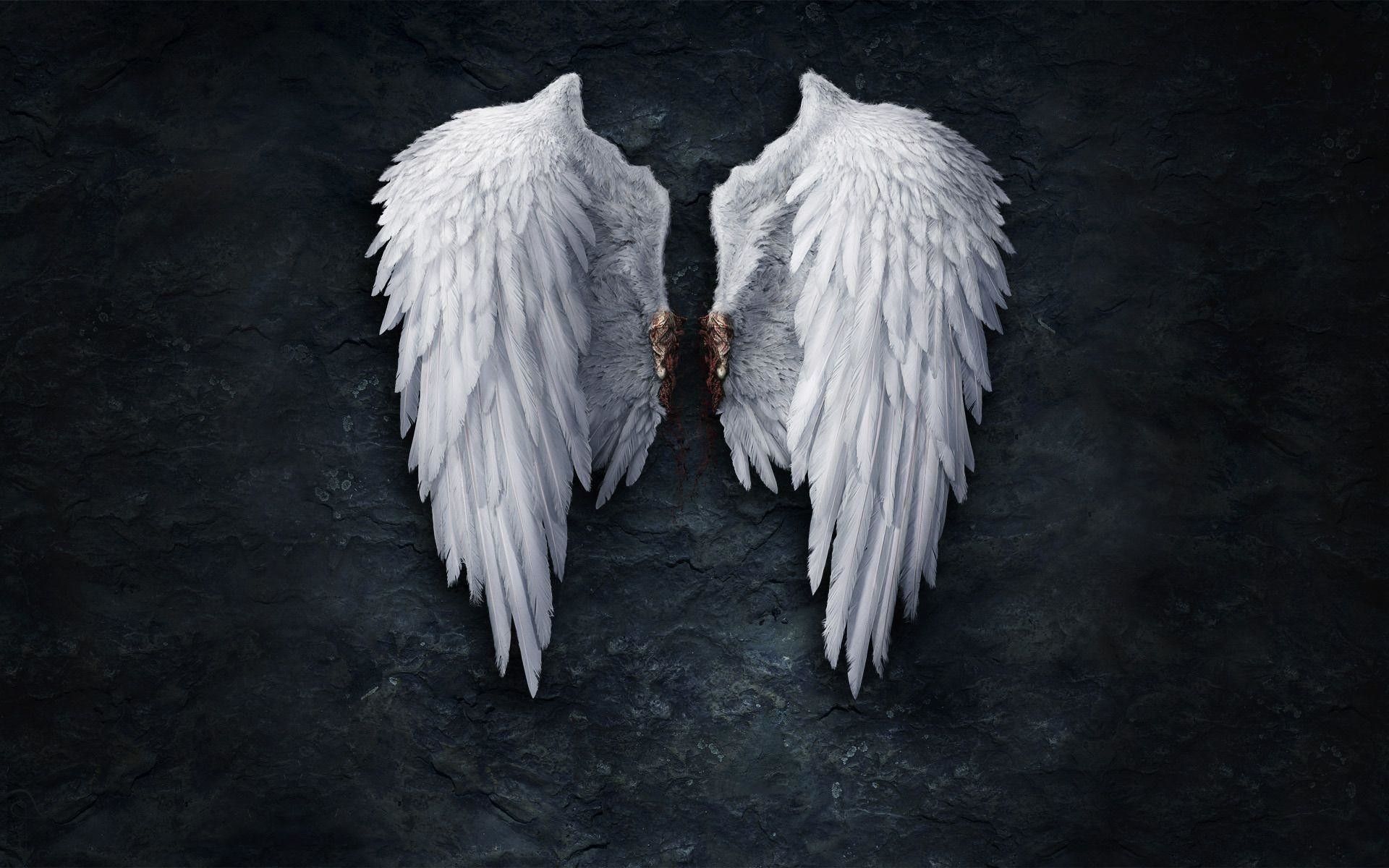 Detail Wings Background Nomer 10