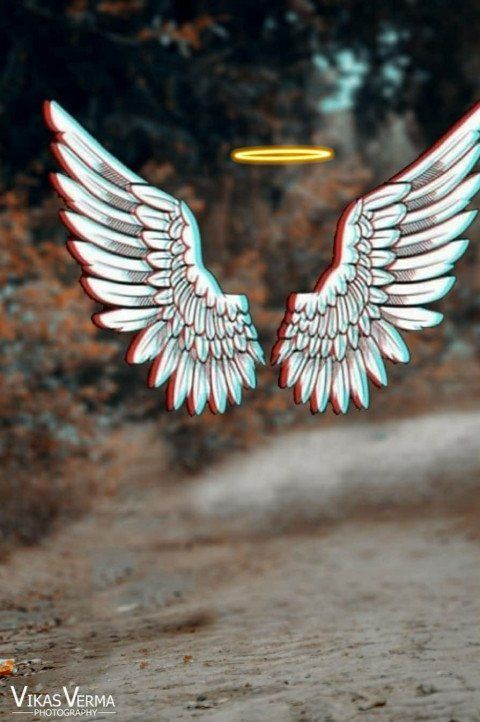 Wings Background For Editing - KibrisPDR