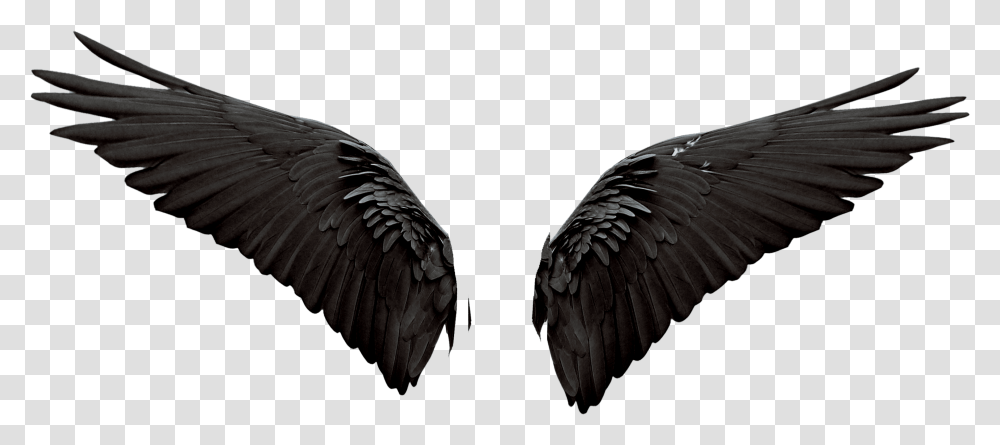 Detail Wings Background For Editing Nomer 24