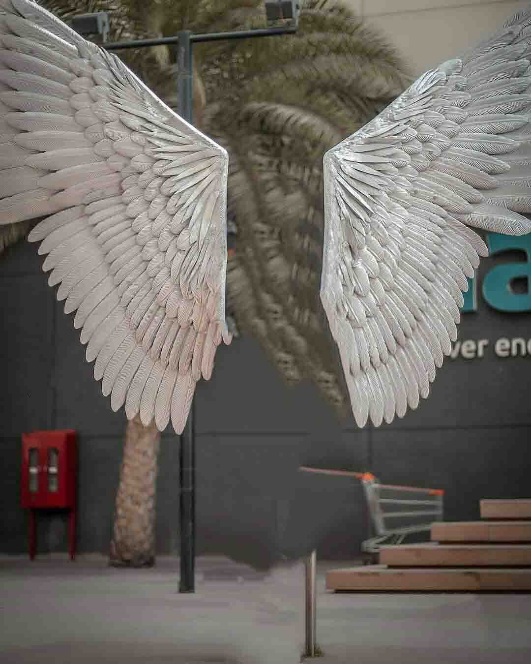 Detail Wings Background For Editing Nomer 46