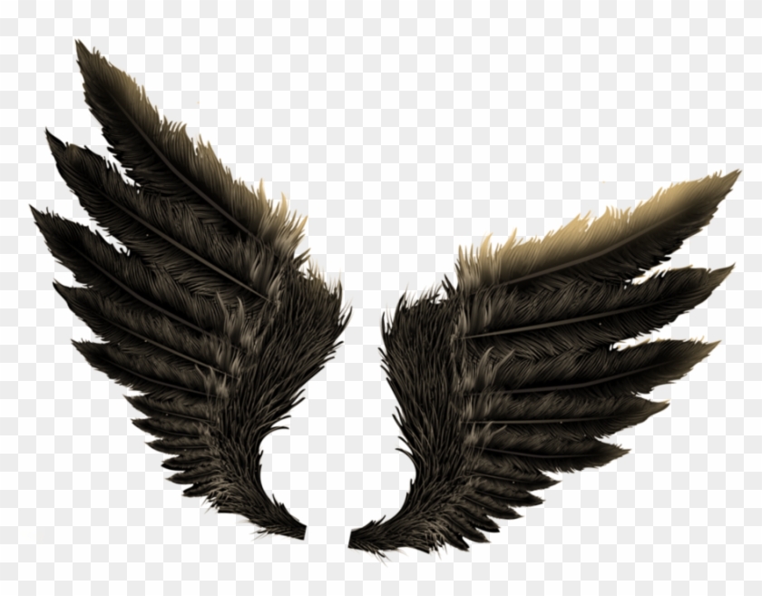 Detail Wings Background For Editing Nomer 49