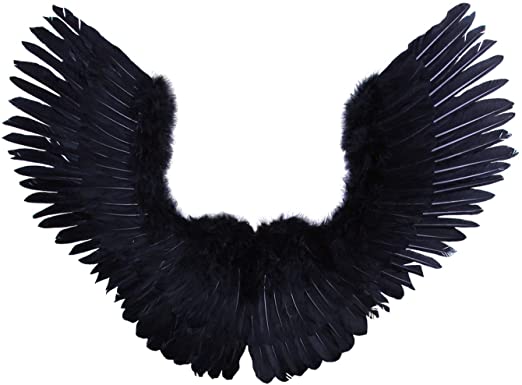 Wings Black - KibrisPDR