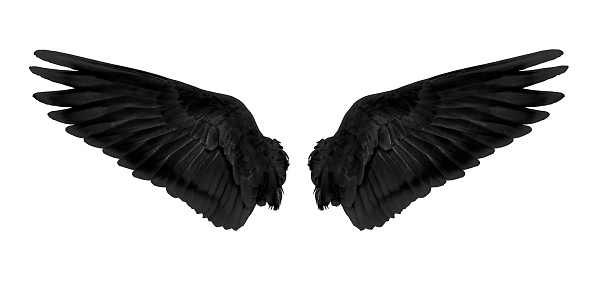 Detail Wings Black Nomer 5