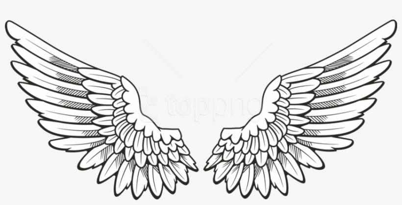 Detail Wings Black And White Clipart Nomer 12