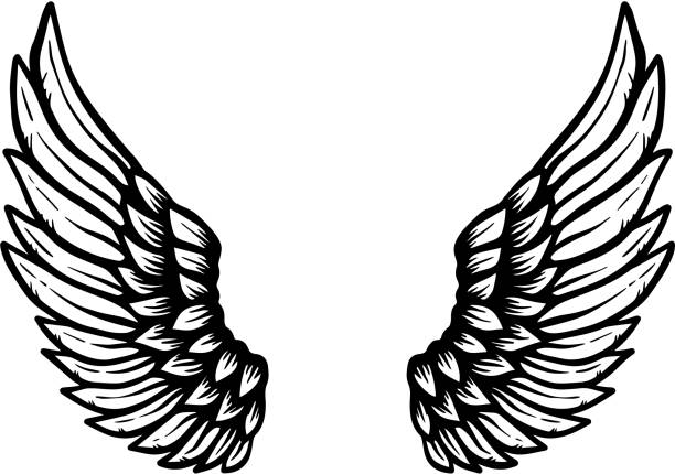 Detail Wings Black And White Clipart Nomer 16