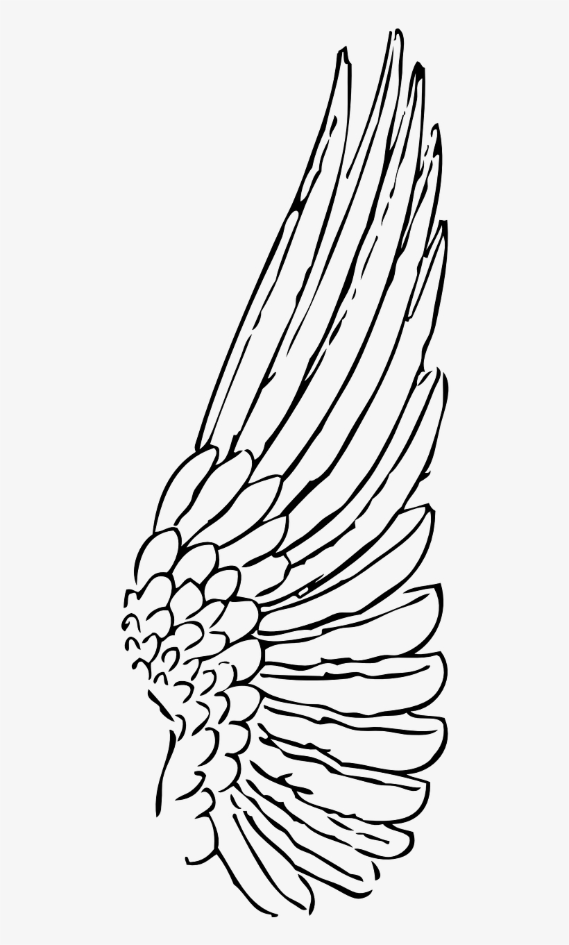 Detail Wings Black And White Clipart Nomer 32