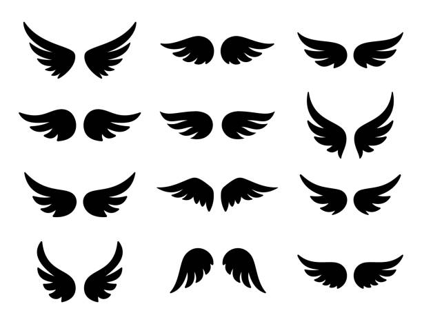 Detail Wings Black And White Clipart Nomer 40
