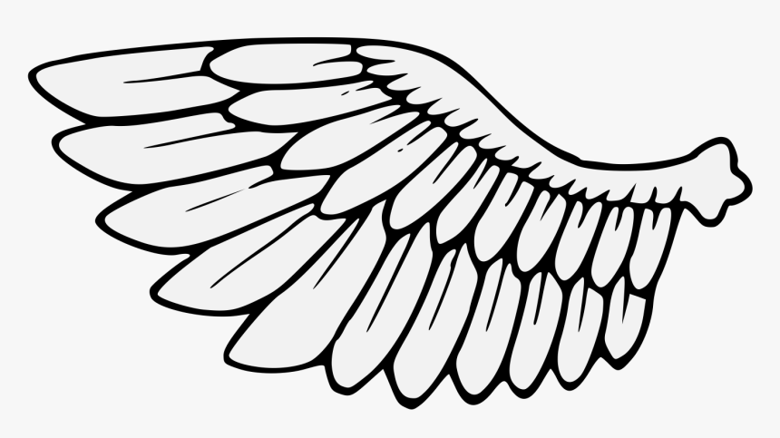 Detail Wings Clipart Nomer 2