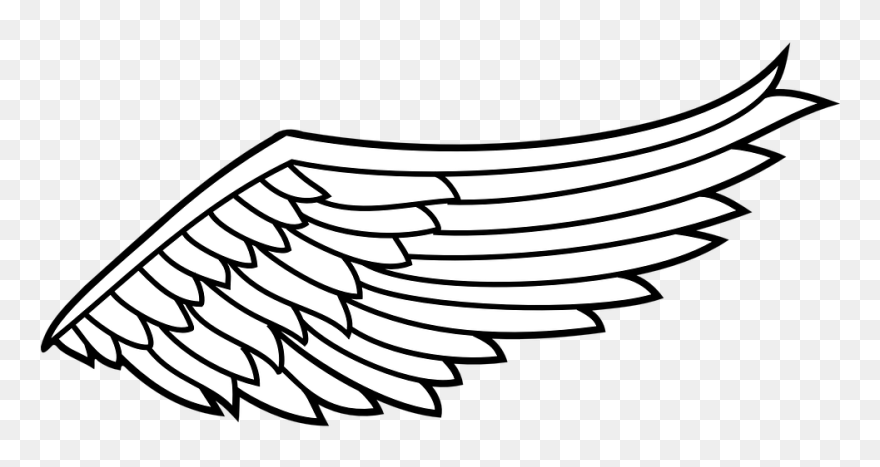 Detail Wings Clipart Nomer 33