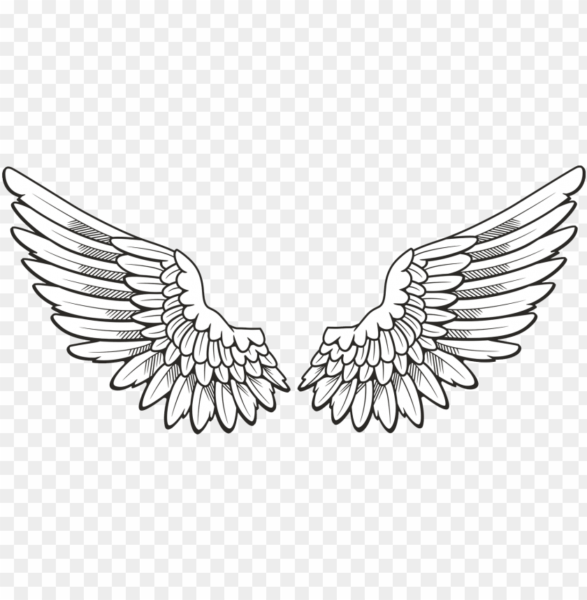 Wings Clipart Png - KibrisPDR