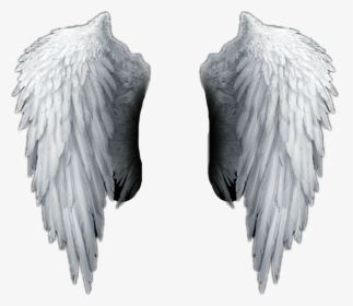 Detail Wings Download Nomer 5