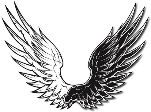 Detail Wings Download Nomer 40