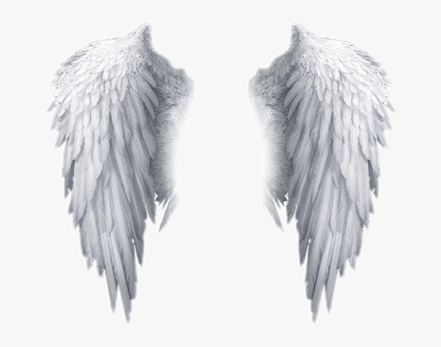 Detail Wings Download Nomer 46