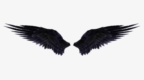 Detail Wings Download Nomer 9